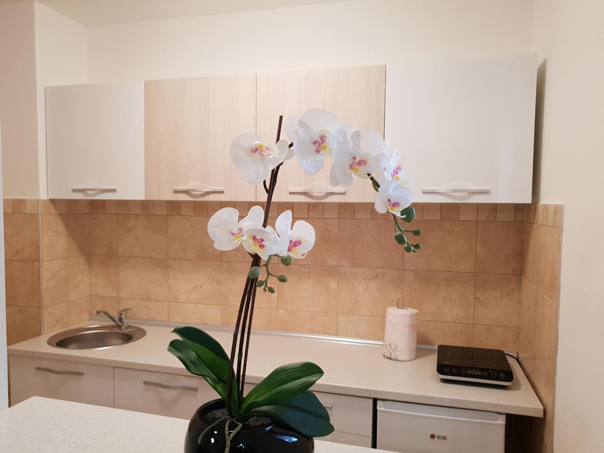 Apartman Kej Free Parking Kraljevo Exterior foto